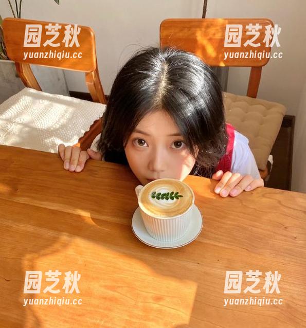 体验Zia (지아)蕾丝的迷人魅力，超值福利图集大放送！.txt